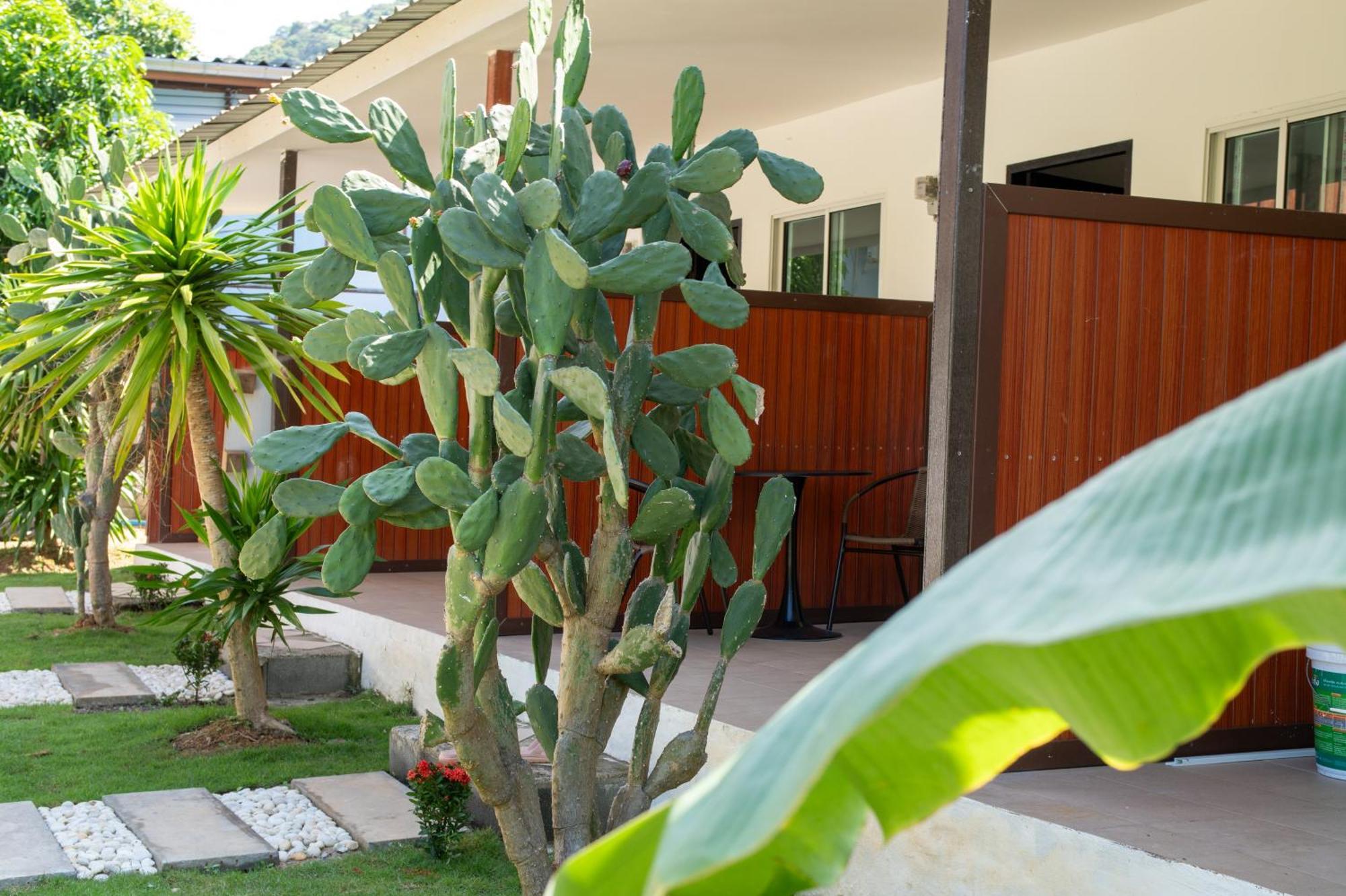 Chill Out Resort Koh Lanta Exterior photo